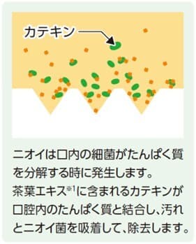 カテキンによる汚れとニオイ菌を吸着して除去するイメージ