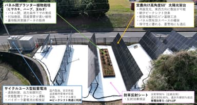 写真1：牧之原市営農型太陽光発電所　兼　実証フィールド