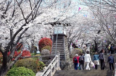 飛鳥山公園