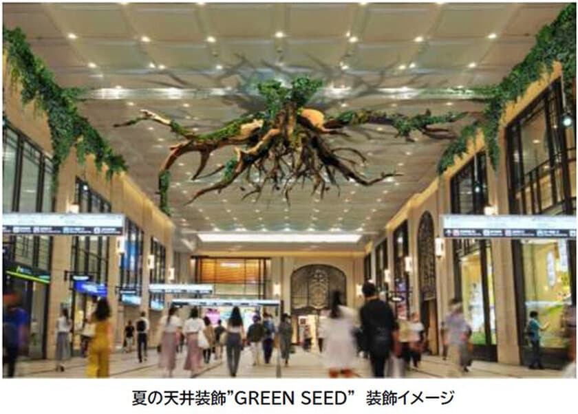 大阪梅田ツインタワーズ・ノース1階 南北コンコース
夏の天井装飾“GREEN SEED” テーマは
「大樹とともに、また踏み出す。」
5月29日（水）～6月25日（火）の28日間で実施します