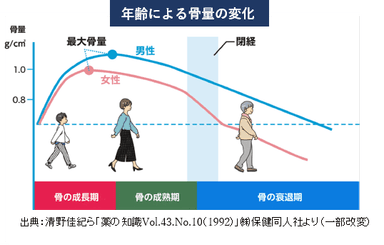 年齢による骨量の変化