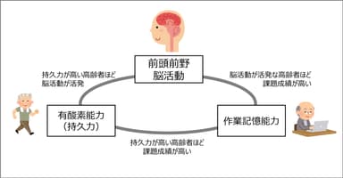 研究結果の概要