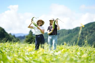 自然体験と宿泊がセットになったプランも好評