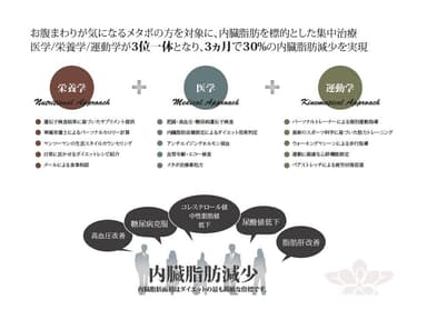 Plan VIS Fat3　コンセプト図