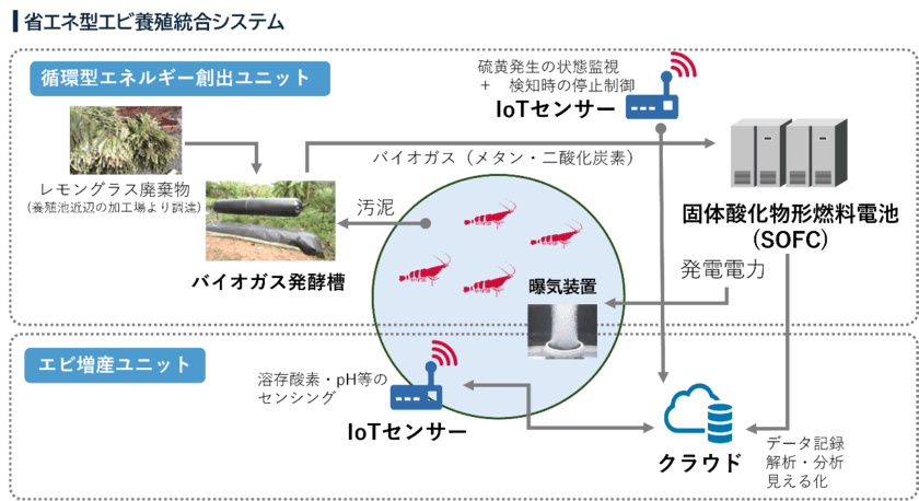 日本初！グリーンエネルギーとIoTを活用したエビ養殖に挑戦