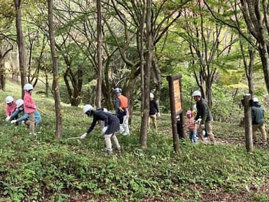 森林整備活動の様子