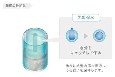 親水化マカデミアオイル 作用の仕組み