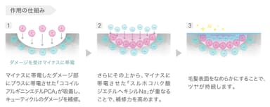 ツインダメージセンサー 作用の仕組み