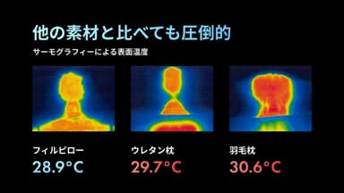 サーモグラフィーによる表面温度