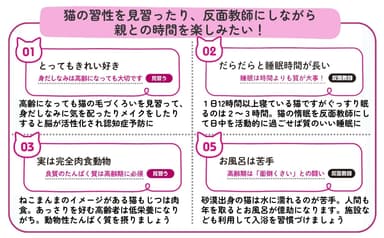 猫の習性を見習う？反面教師にする？