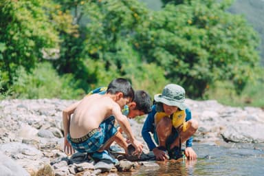 川の生き物観察や水遊び