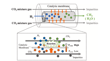 図. CO2回収用供給型膜反応器のイメージ