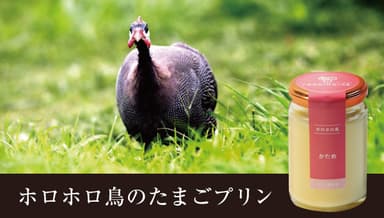 ホロホロ鳥のたまごプリン