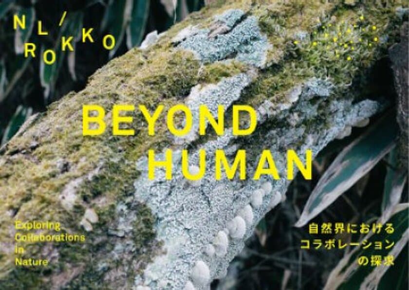 神戸六甲ミーツ・アート2024 beyond
オランダゆかりのアーティストが
社会課題をテーマに作品を出展
コンセプトの「BEYOND HUMAN」を発表