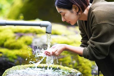 有機農場には美肌菌が多くすむという研究結果がある