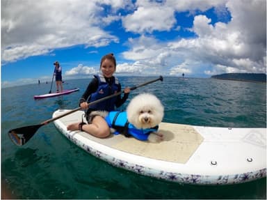 愛犬とのSUPも楽しめる