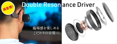 Double Resonance Driver構造