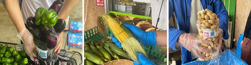 【道の駅木更津 うまくたの里】物価高・野菜高騰にも負けない！
旬の農産物詰め放題『ウマウマ野菜イベント』が
パワーアップし7/6より開催