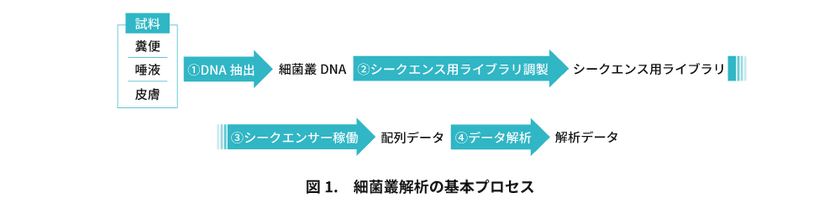 長年課題であった「細菌叢DNA抽出」方法の最適化で、
信頼性の高い細菌叢解析を支援するアカデミア向けサービスを開始