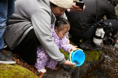 稚魚放流