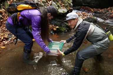 発眼卵放流