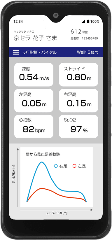 歩行解析システム