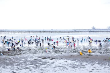 潮干狩り場の全景