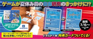 トレーディングカードゲーム海の仲間たち　メイン