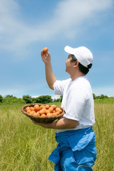 はばたき農場で採れた「おいしい放牧米たまご」