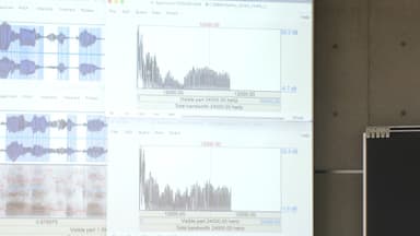 声を周波数成分ごとに分解して表示したサウンドスペクトログラム(声紋)を見ると 、母音の特徴を表すフォルマント周波数を読み取る