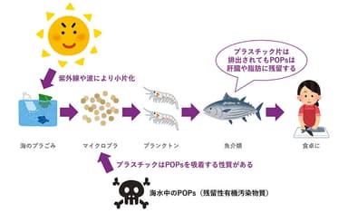 海のプラごみ問題とは