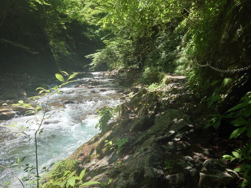 「日本の滝100選」選出の滝や深緑の山歩きで四季を体感　
秩父鉄道、夏山ハイキングを8-9月に開催