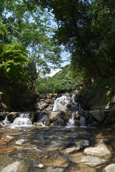 水源 安芸郡府中町みくまり峡 榎川伏流水