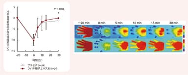 血流改善効果(温熱効果)を確認(ツバキ種子エキス末)