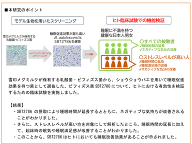 画面イメージ