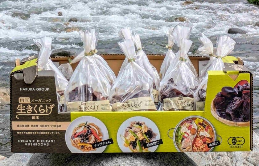 ハルカ社の有機JASキクラゲ、コストコ東日本18倉庫店で販売開始
　プリプリの食感が魅力、夏のバーベキューなどの人気者に