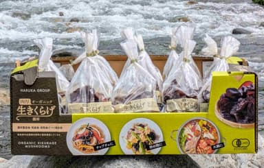 写真はコストコ東日本18倉庫店で販売が始まった「オーガニック生きくらげ400g」と専用トレイ箱