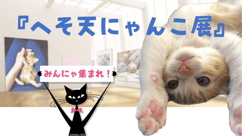 猫好きさんに癒やしのひとときを贈る
『へそ天にゃんこ展』オンラインで初開催！