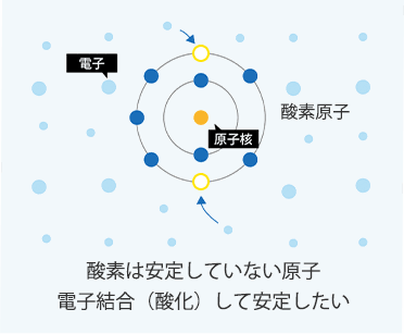 細胞との酸化結合を抑制