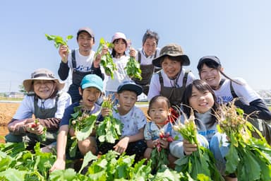 「シテコベ サステナブルファーム」収穫体験イメージ