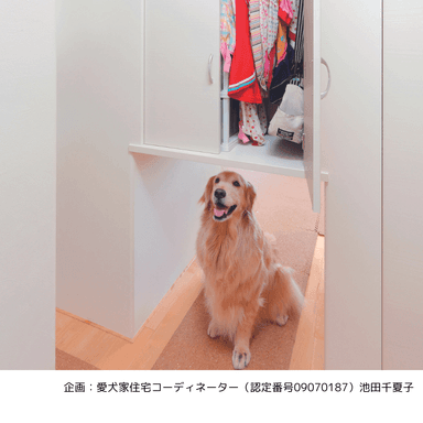 愛犬家住宅事例