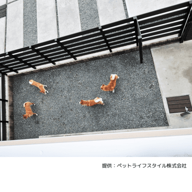 愛犬家住宅事例