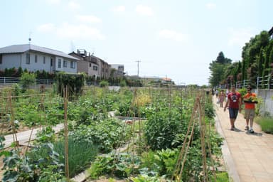 貸菜園「アグリス成城」