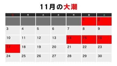 11月の大潮