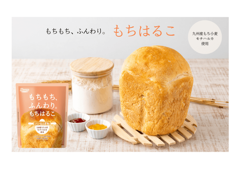 希少もち小麦「モチハルカ」使用！もちふわ食感を実現する
パン用小麦粉「もちはるこ」　9月2日より発売