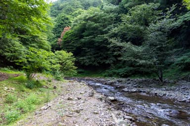 フリック渓流釣り場