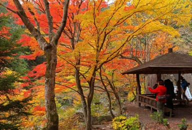 秋の昇仙峡「遊歩道」紅葉スポット2