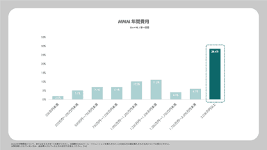 MMM年間費用