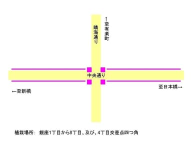 プリンセチア植栽地図