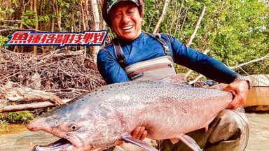 魚種格闘技戦！